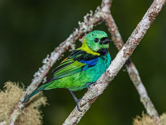 Iguazú National Park