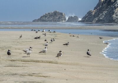 Lima's South Coast © Luis Segura