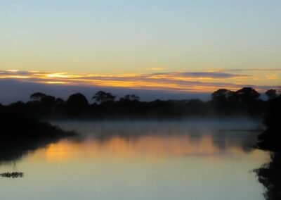 Brazilian Pantanal © Lucas Marti