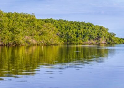 Tumbes Mangrove © Victor Gamarra Toledo